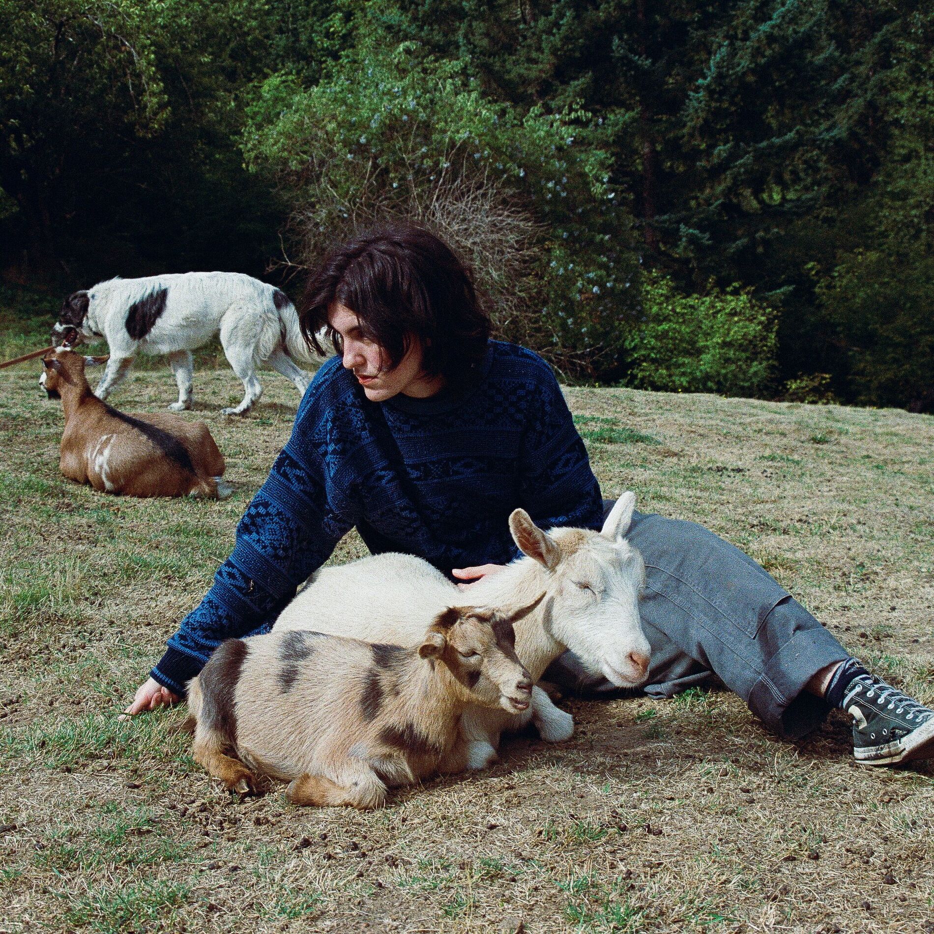 Album cover of Funny