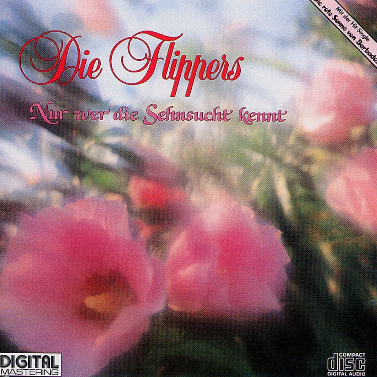 Album cover of Nur wer die Sehnsucht kennt