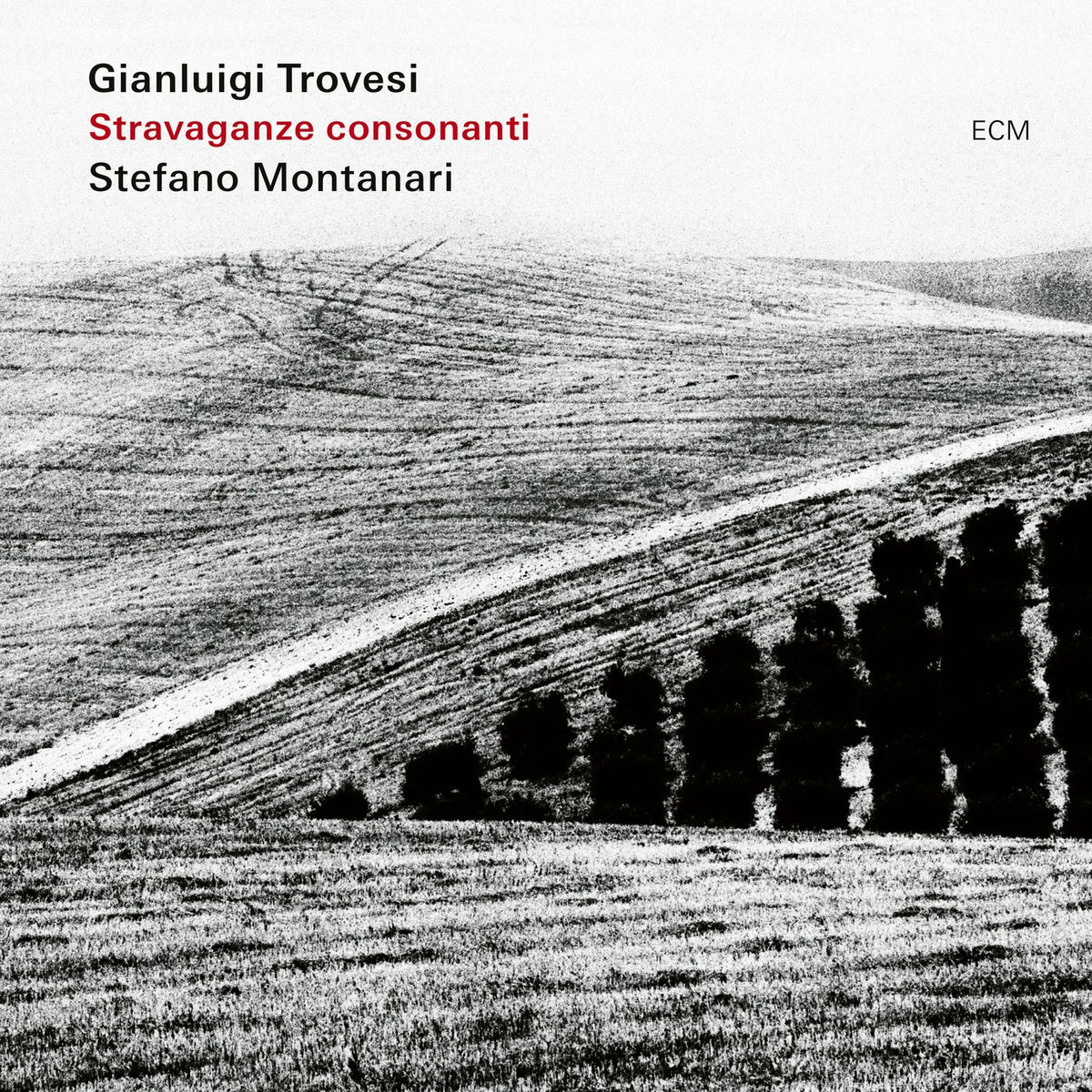 Album cover of Stravaganze consonanti