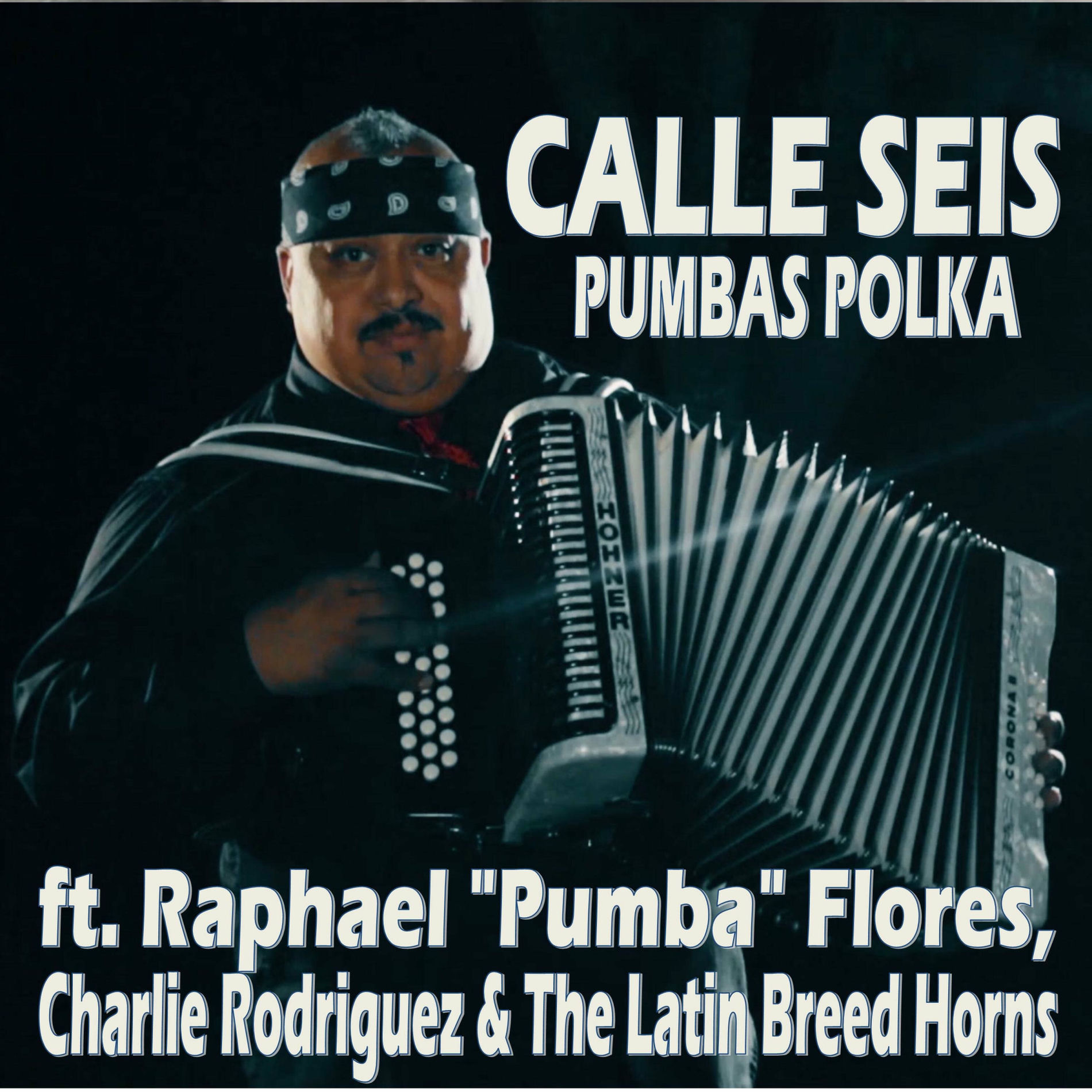 Album cover of Pumbas Polka (feat. Latin Breed, Raphael Flores & Charlie Rodriguez)