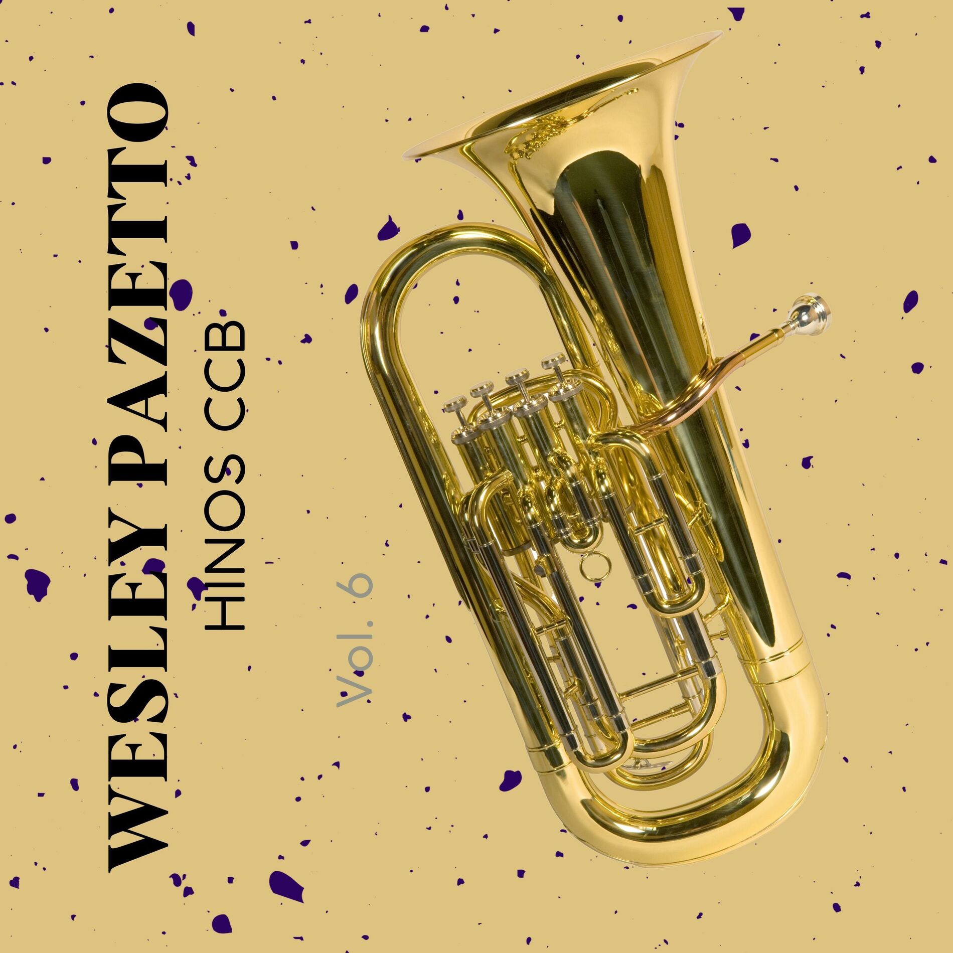 Album cover of Hinos CCB Cantados e Tocados, Vol. 6