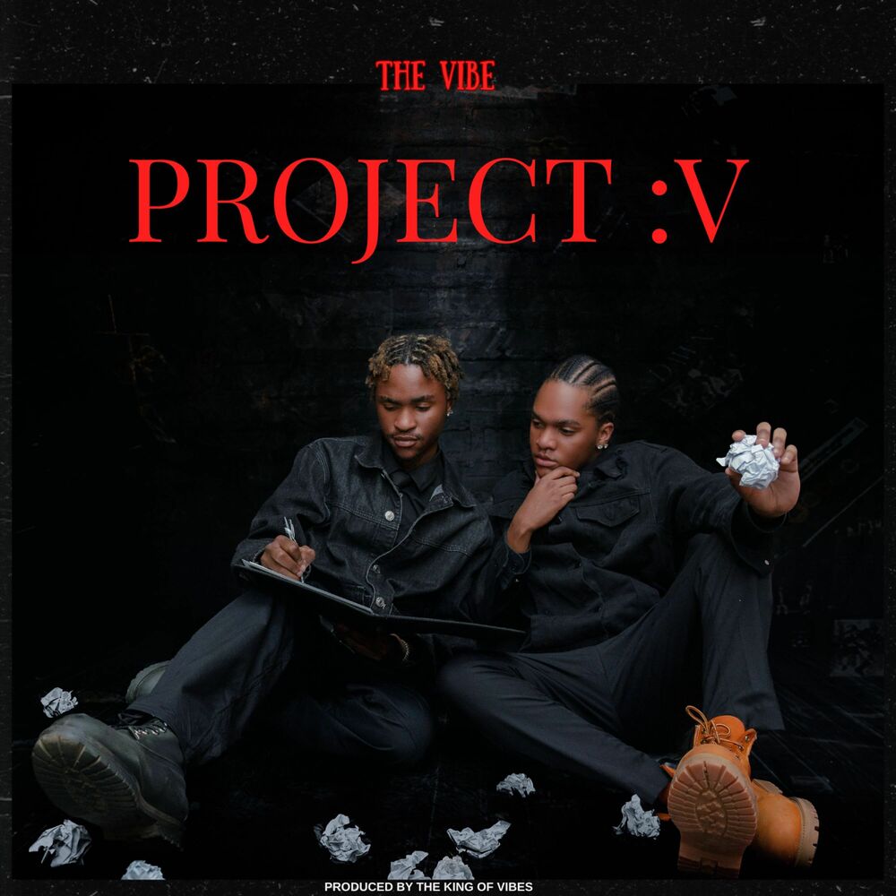 Picture of Project :V