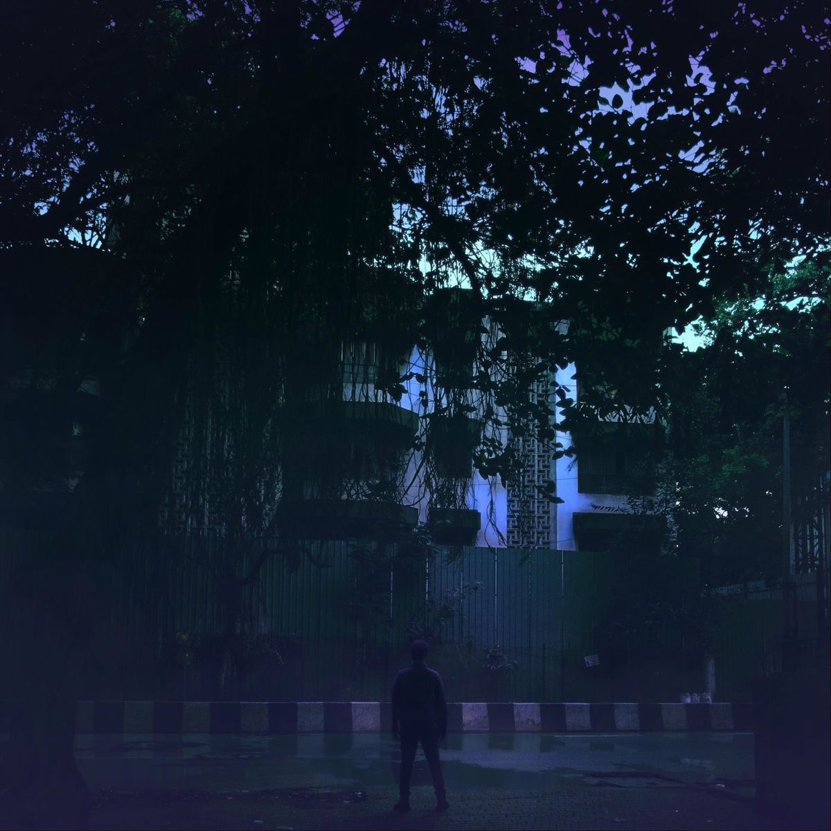 Album cover of The Cape