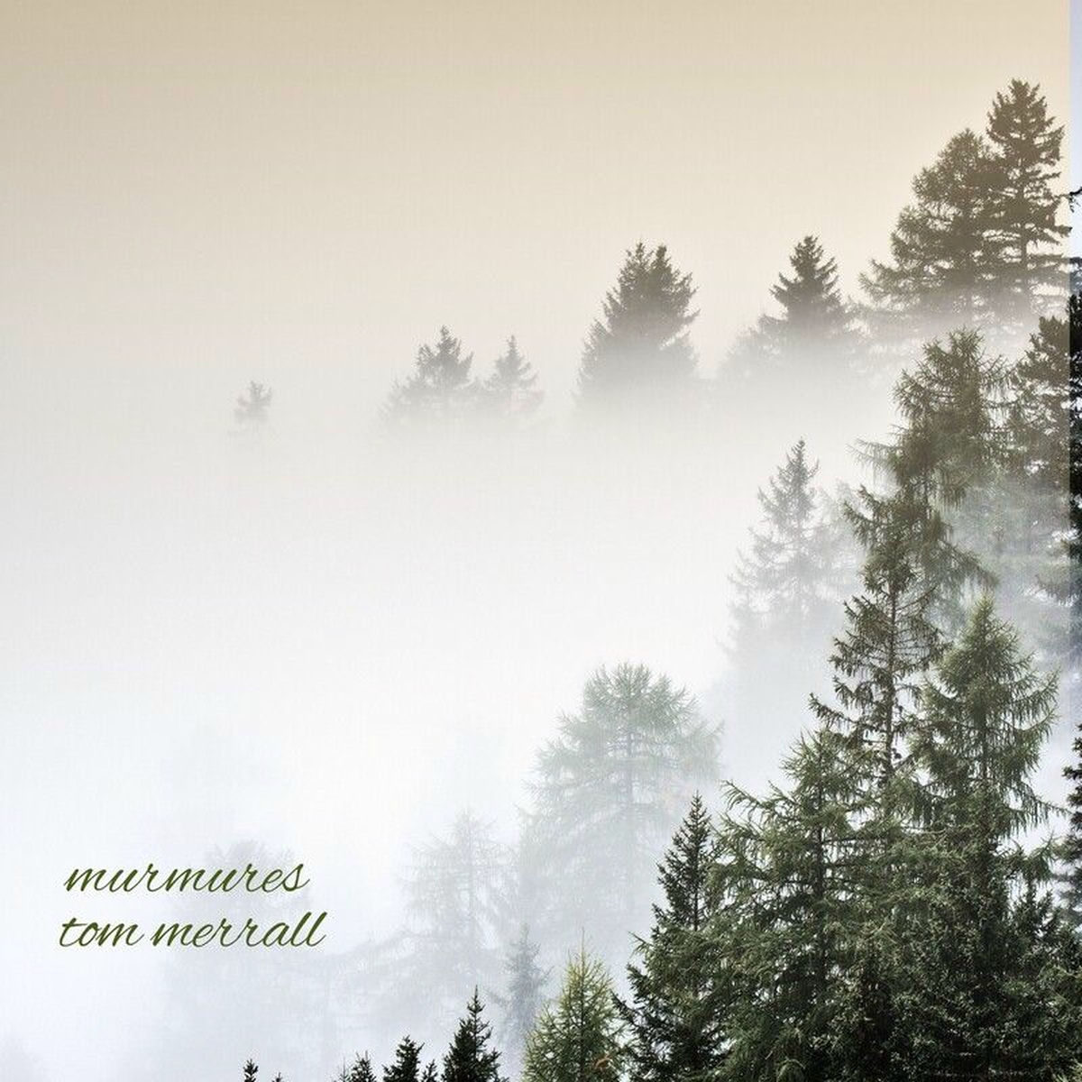 Album cover of Murmures