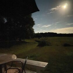 Cover of a sun always sings