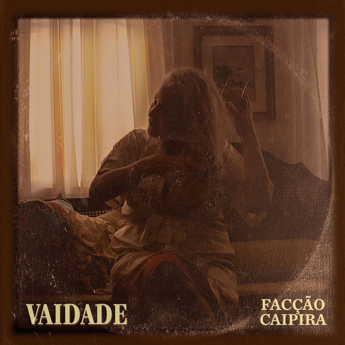 Album cover of Vaidade