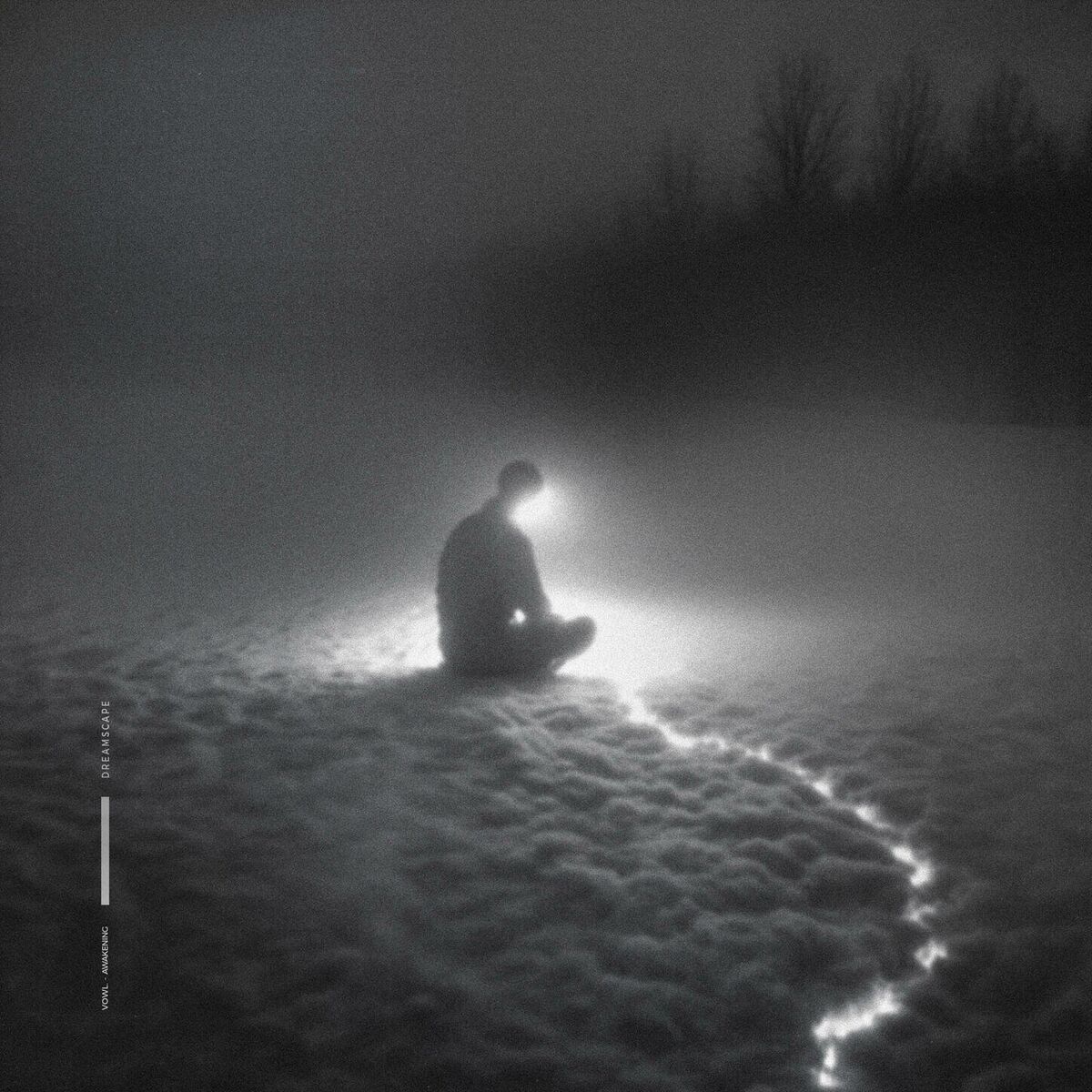 Album cover of awakening