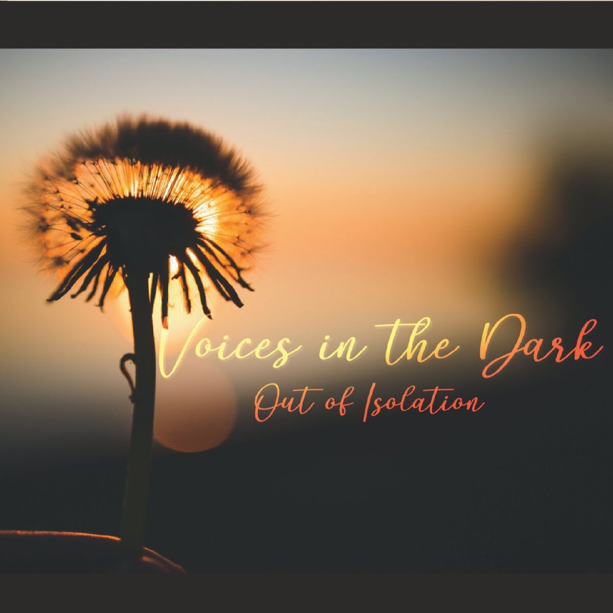 Album cover of Voices in the Dark: Out of Isolation