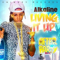 Cover of Living It Up