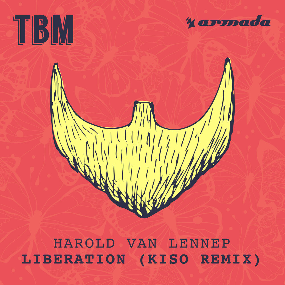 Picture of Liberation (Kiso Remix)