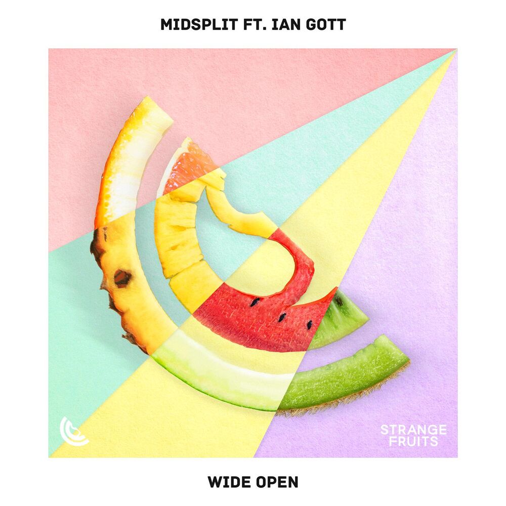 Picture of Wide Open (feat. Ian Gott)