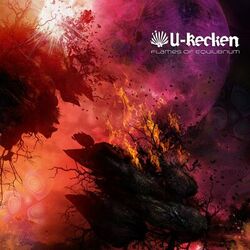 Cover of Flames Of Equilibrium