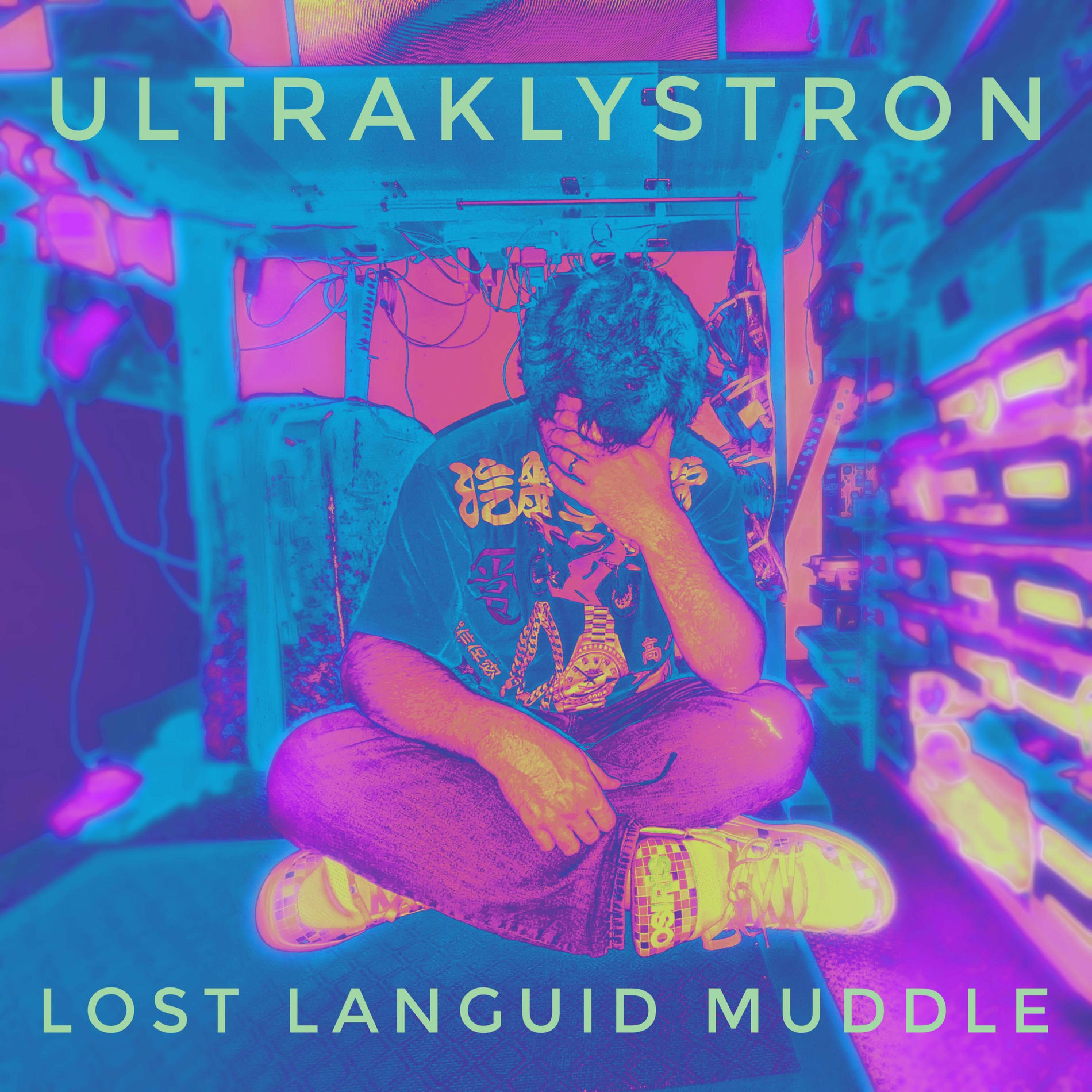 Album cover of Lost Languid Muddle