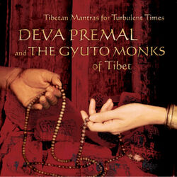 Cover of Tibetan Mantras For Turbulent Times