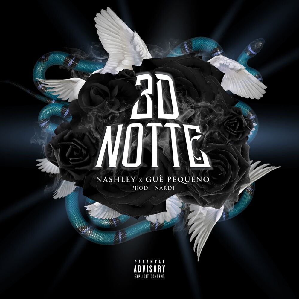 Picture of 3D Notte