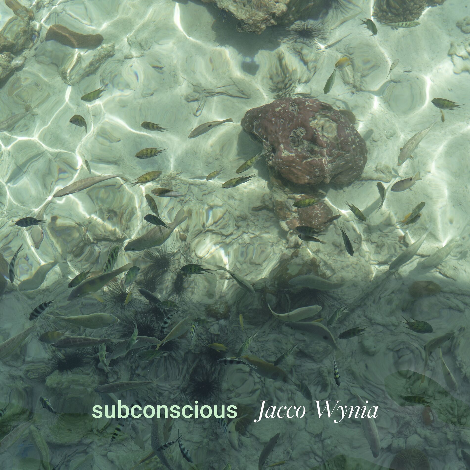 Album cover of subconscious