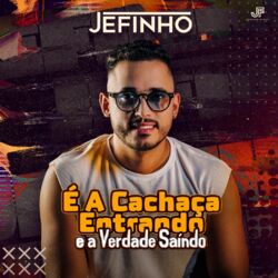 Cover of É a Cachaça Entrando e a Verdade Saindo
