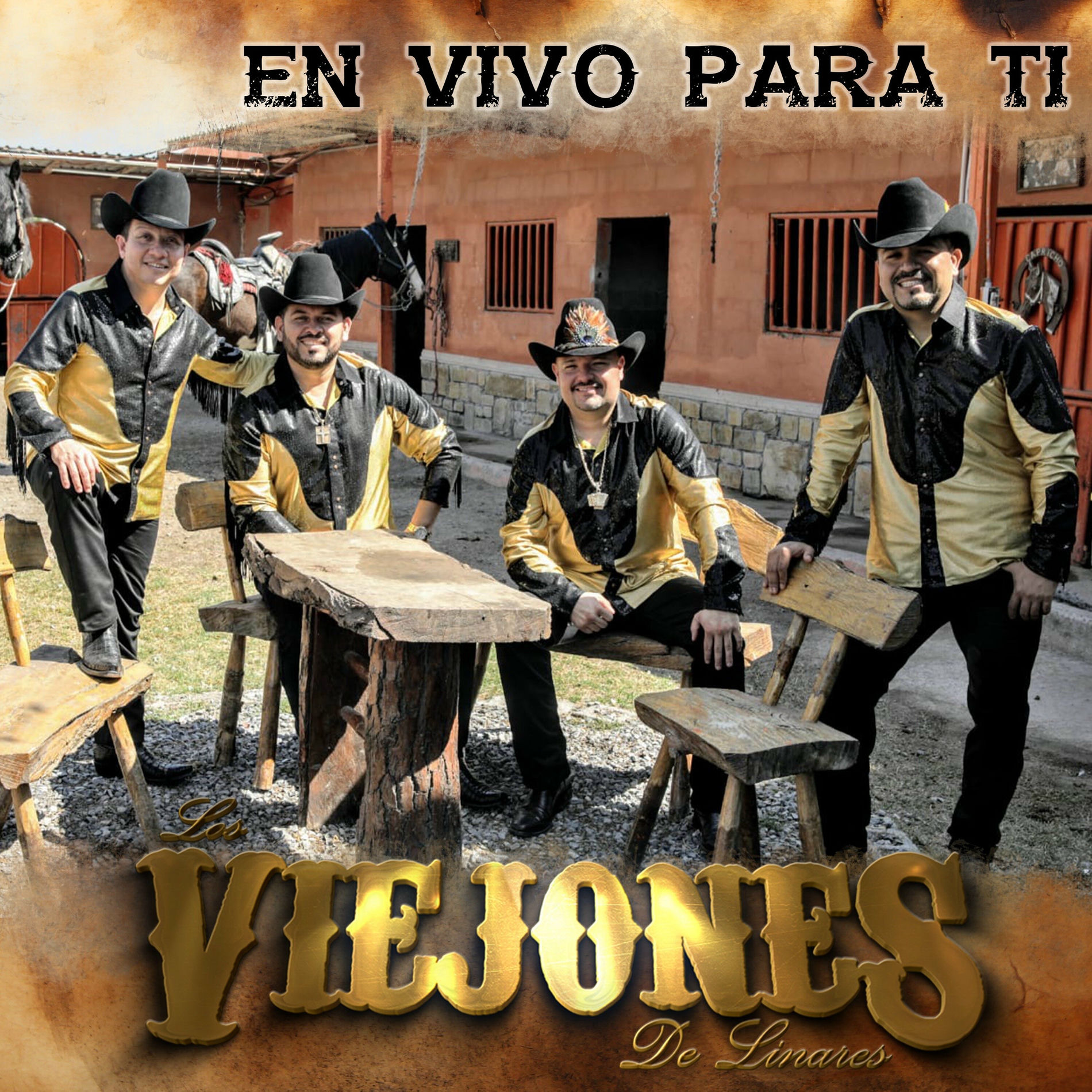 Album cover of Amores Fingidos