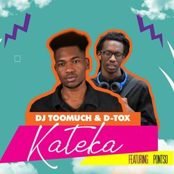 Cover of Kateka