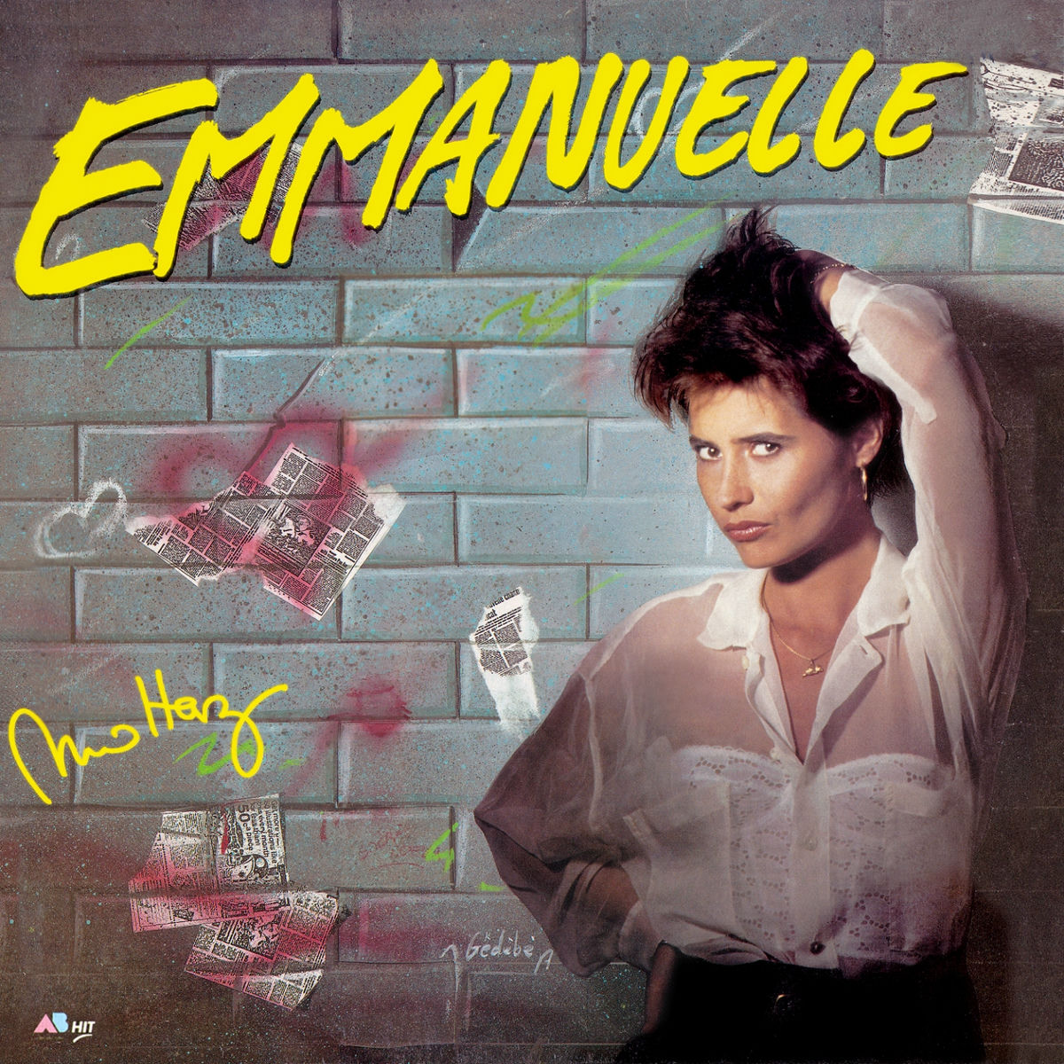 Album cover of Ce n'est qu'un voyou