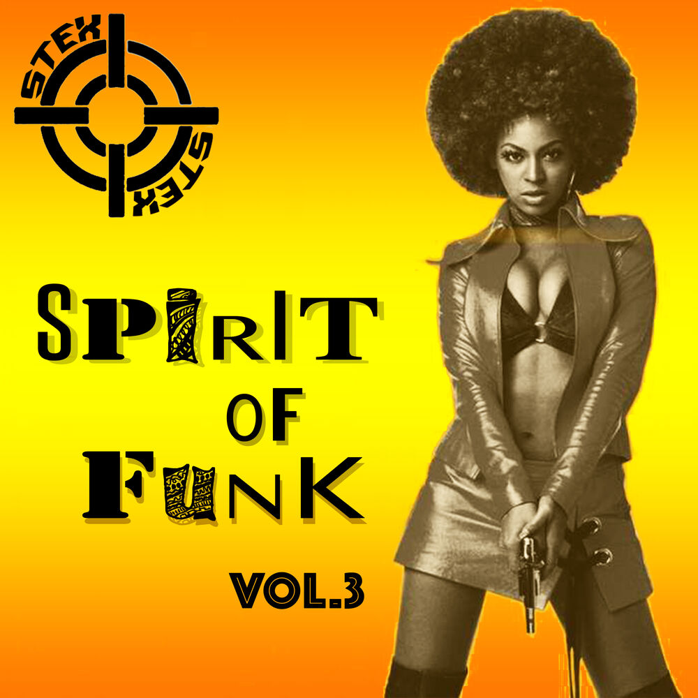 Picture of Spirit Of Funk, Vol.3
