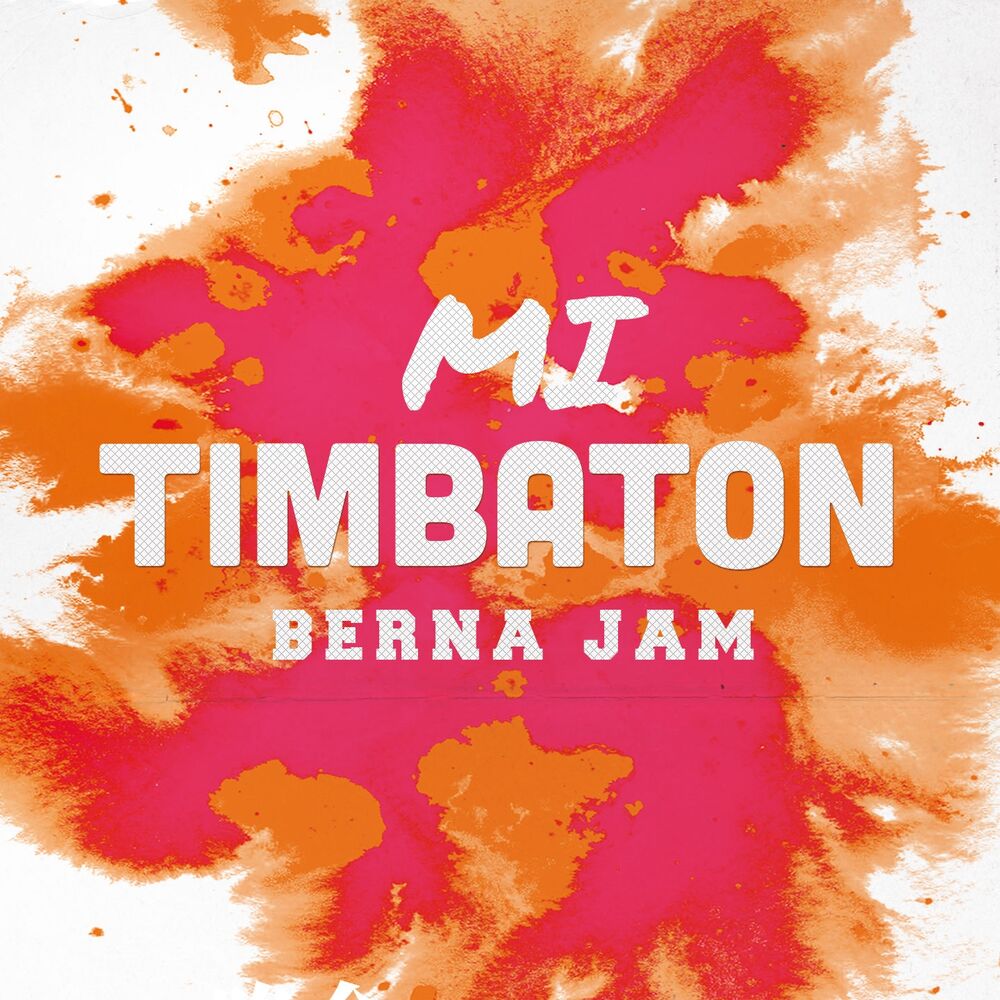 Picture of Mi Timbaton