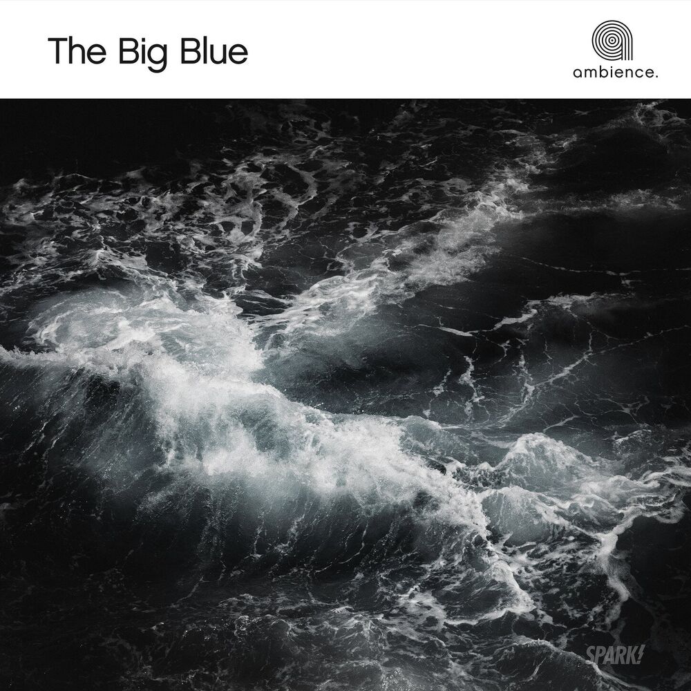 Picture of The Big Blue