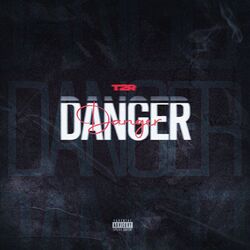 Cover of Danger