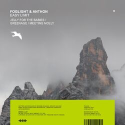 Cover of Easy Limit
