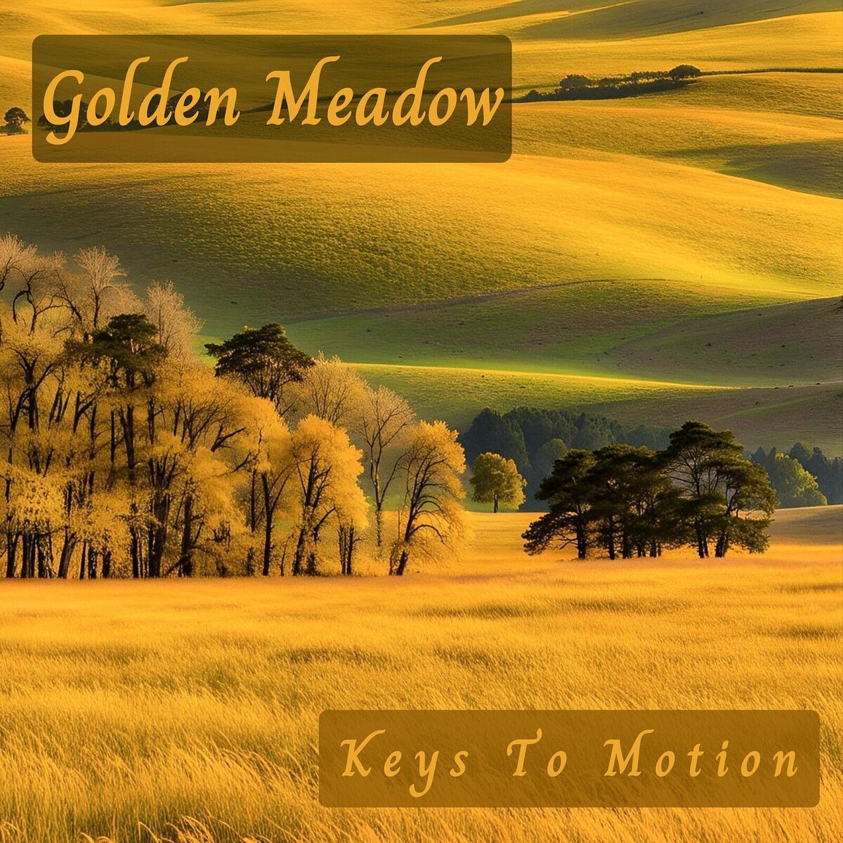 Album cover of Golden Meadow