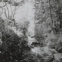 Cover of Still Moving