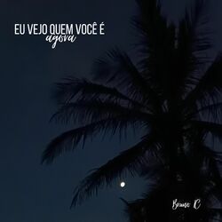 Cover of Eu vejo quem você é agora