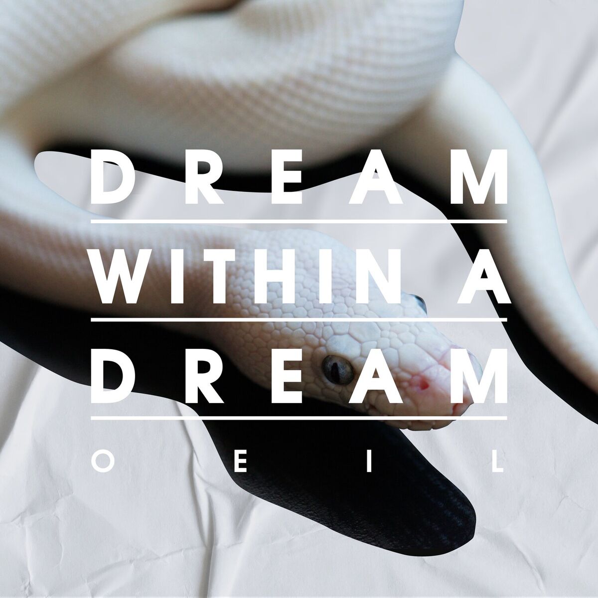 Album cover of Dream Within a Dream