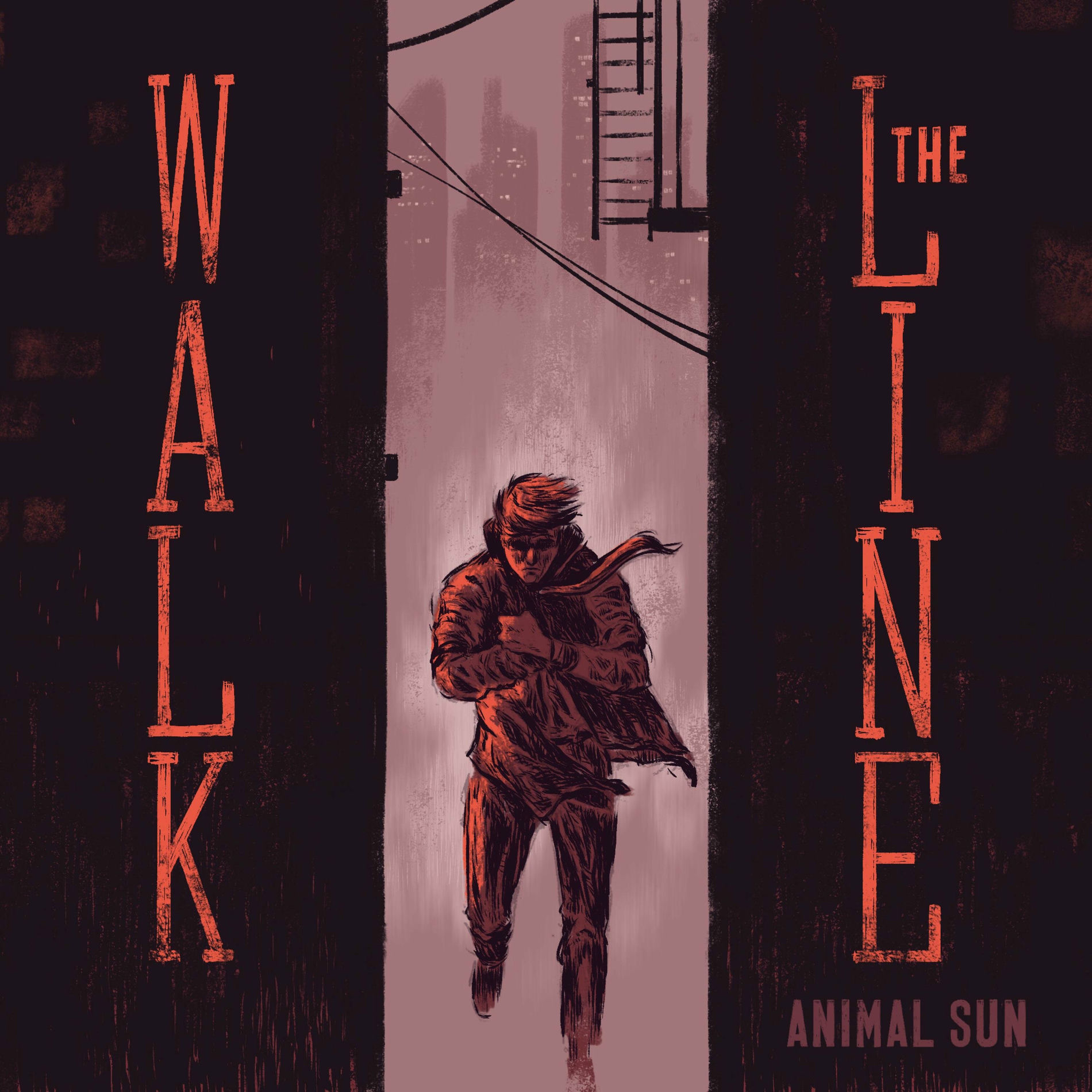 Album cover of Walk The Line