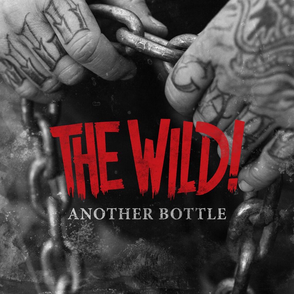 Picture of Another Bottle (Radio Edit)