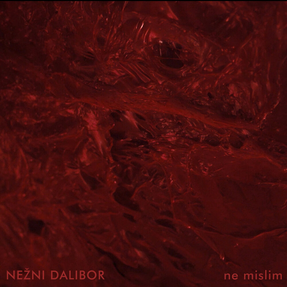 Picture of Ne mislim