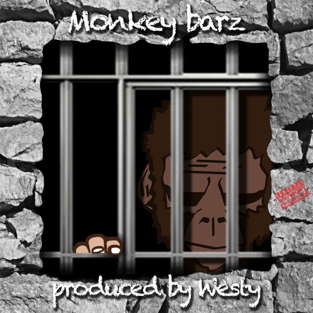 Picture of Monkey Barz