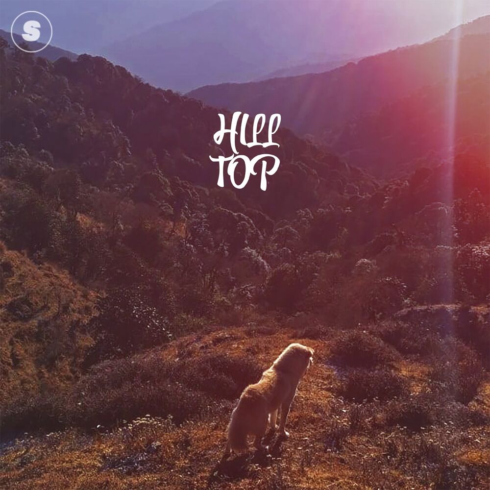 Picture of Hill Top