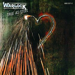Cover of True As Steel