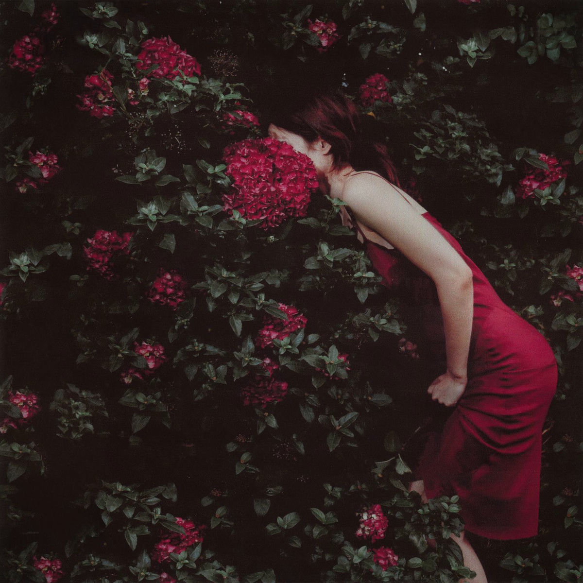 Album cover of Unbloom