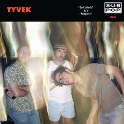 Cover of Duck Blinds