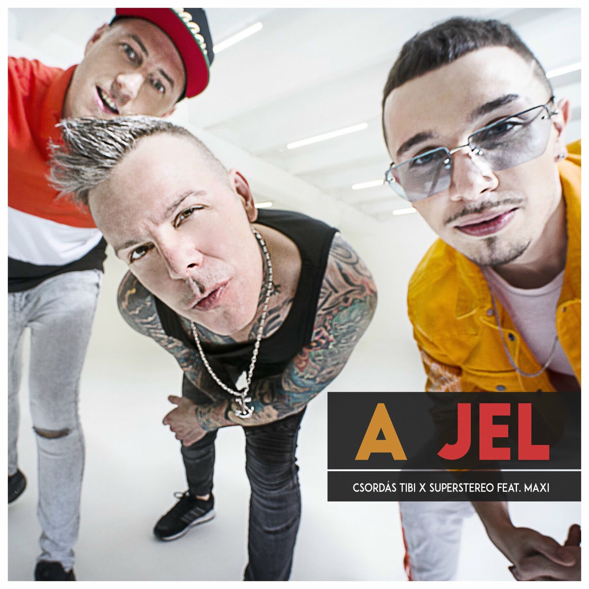 Album cover of A Jel