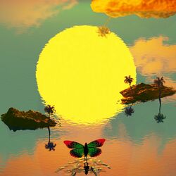 Cover of To The Sun