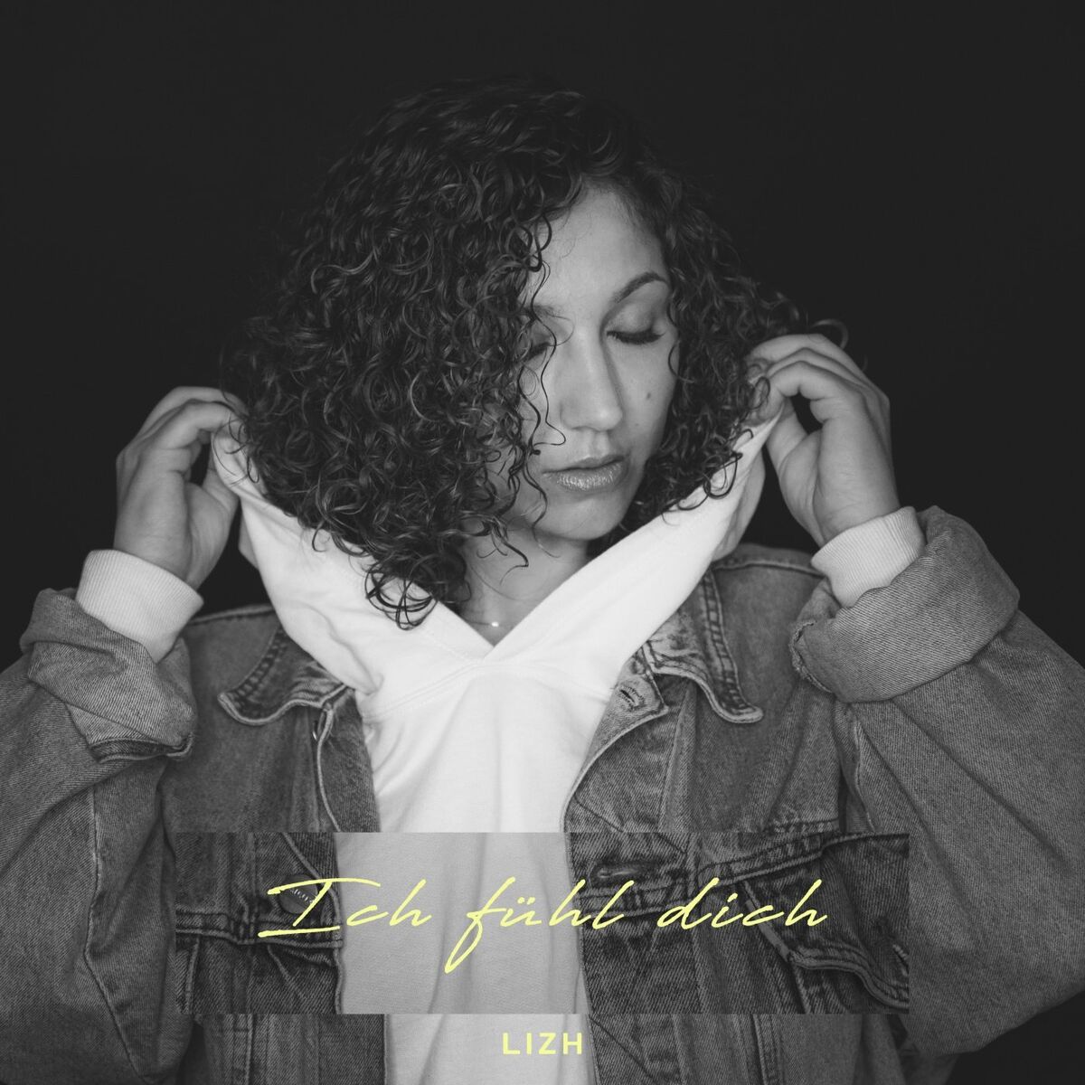 Album cover of Ich fühl dich