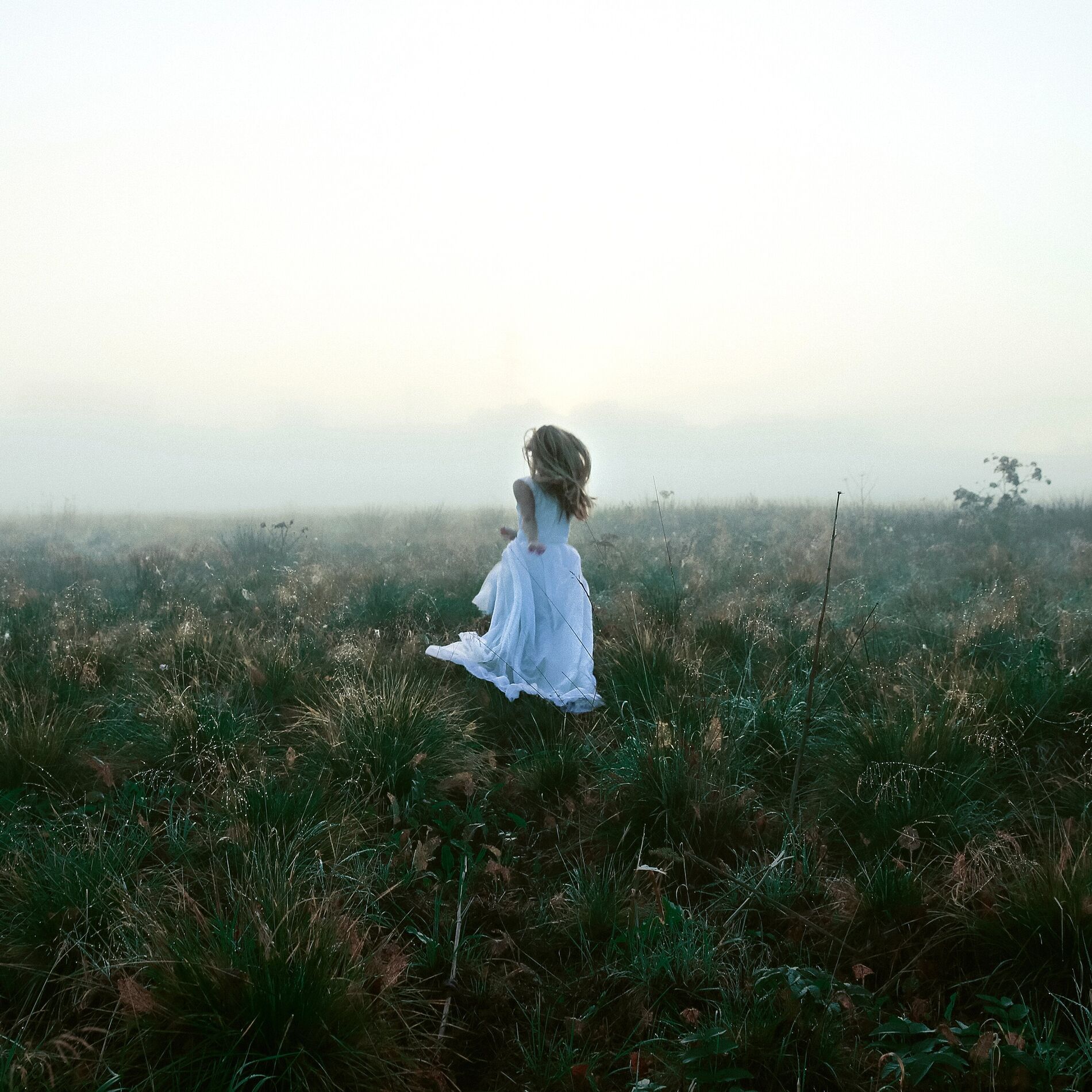Album cover of She Is Poetry
