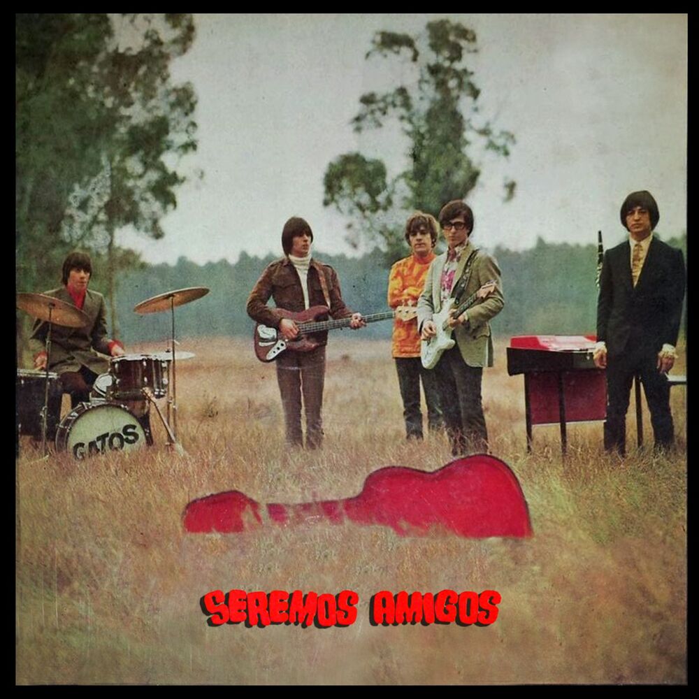 Picture of Seremos Amigos