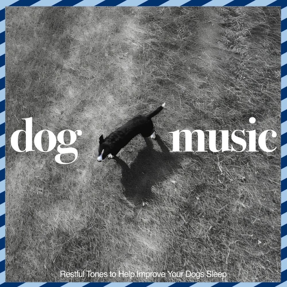 Picture of Music For Dogs: Restful Tones to Help Improve Your Dogs Sleep