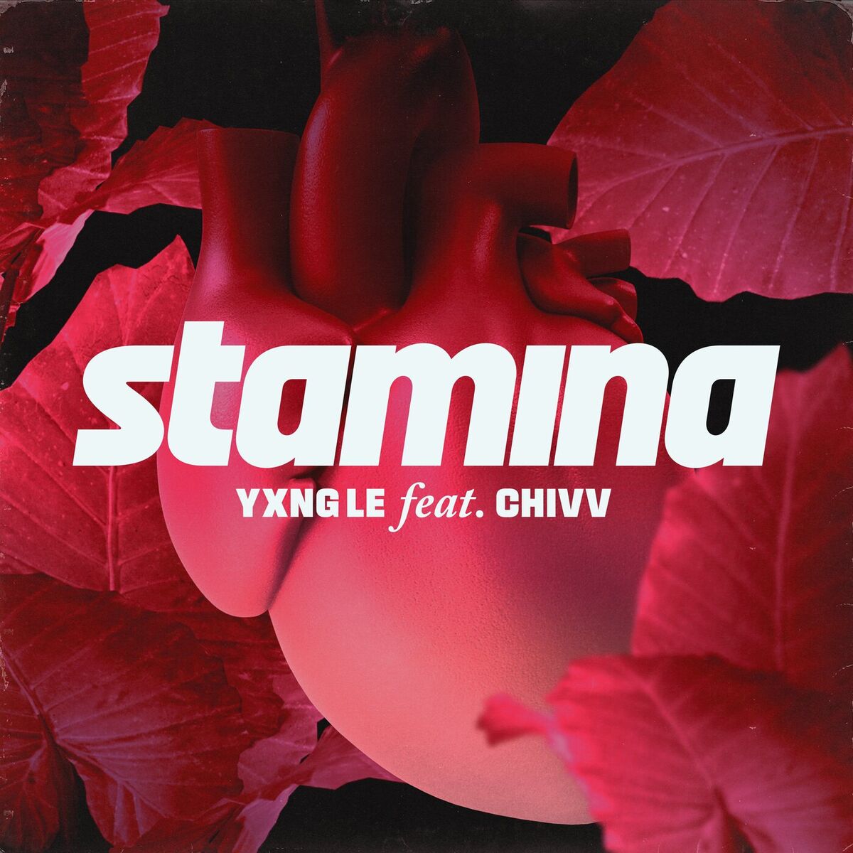 Album cover of Stamina