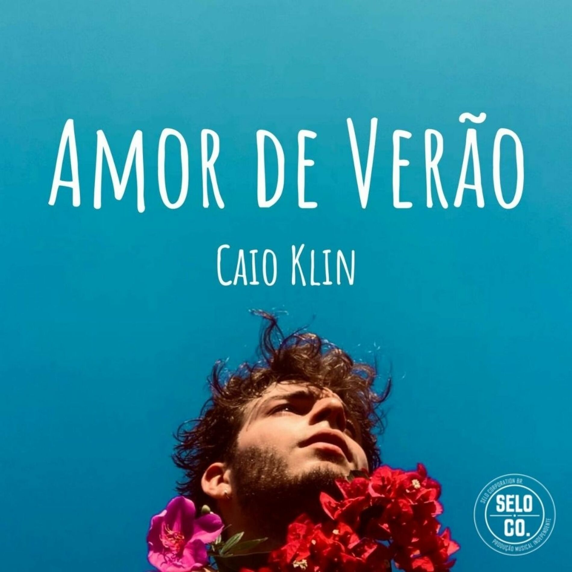 Album cover of Amor de Verão