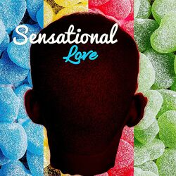 Cover of Sensational Love